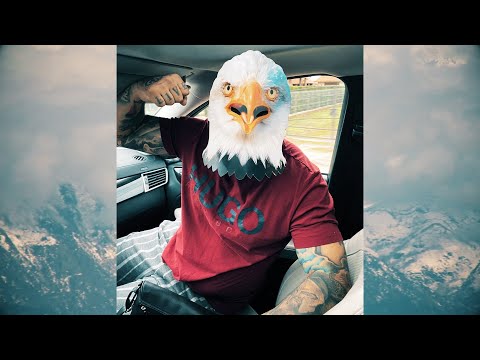 Dani Mocanu 🦅 Vulturul | Official Audio