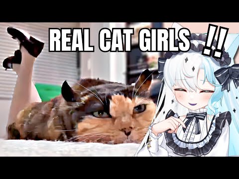 Cat Girls Better Than Real Girls | Aquwa Reacts to "Unusual Memes"