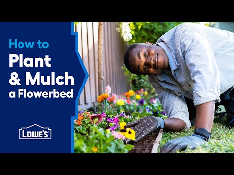 How to Plant and Mulch a Flowerbed | Lowe's How-to