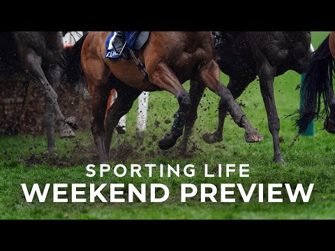 "He is DEFINITELY well-handicapped" | Cambridgeshire Handicap tips | Newmarket preview