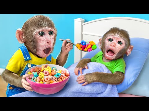 KiKi Monkey take care of brother as good nanny then bath in the toilet together | KUDO ANIMAL KIKI