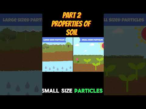 PART 2: Exploring Soil's Secrets: Amazing Facts & Properties #shorts #science