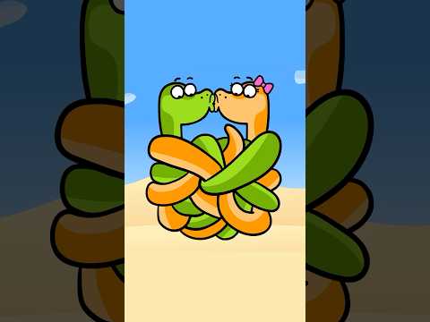 What Happens When Snakes Fall in Love? - Hooray Kids Songs #hooraykidssongs #shorts #snakes