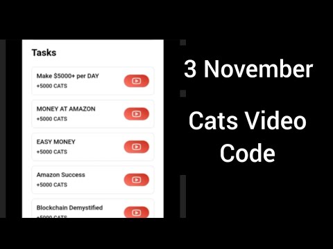 3 November Cats All Video Code |  Cats All Video Code Today | Make 5000 per day | Easy Money