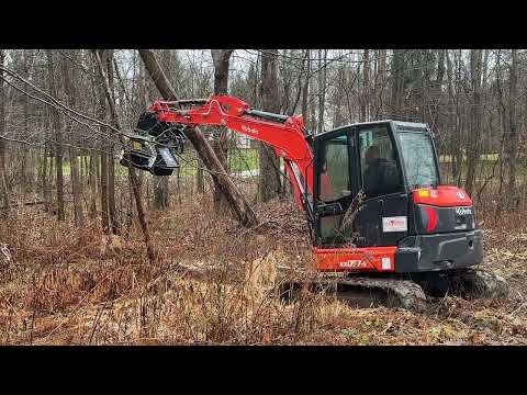 Mulchers for minis! FAE BL1/EX mulcher head on Kubota KX057-05 excavator