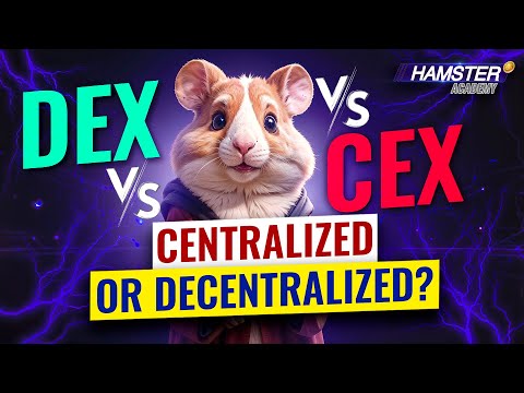 CEX vs DEX: Which one is better? | Ebi.xyz explained ⚡️ Hamster Academy