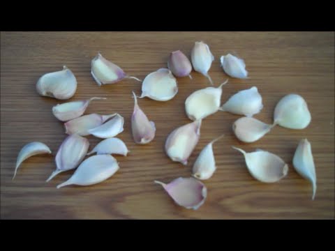 How  to Grow Garlic