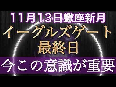 【11月13日蠍座新月】今この意識でいることが重要。これから大変化の波がきます。