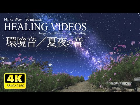 [ASMR] Beautiful starry sky (Milky Way). Natural sound [Insect/frog sound] for work/study/sleep