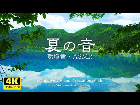 [Environmental sounds/ASMR] Japanese summer sounds/BGM for work/study/sleep/space.