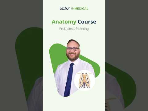 Master Anatomy with Confidence! 🧠 #AnatomyMastery #LearnWithLecturio #USMLE