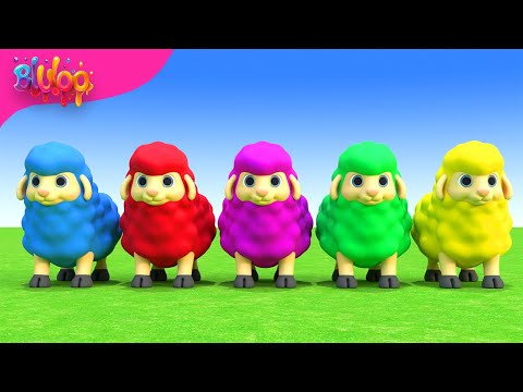 Baa Baa Black Sheep | BluLoo Nursery Rhymes & Kids Songs