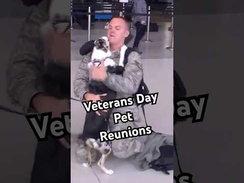 🐕Veterans Returning Home to their Dogs 💕