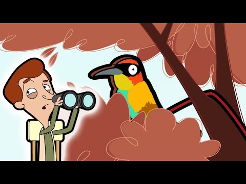 Bean Goes Bird Watching!  | Mr Bean Animated Season 2 | Full Episodes | Mr Bean Official