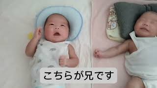 生後1ヶ月の一卵性双生児