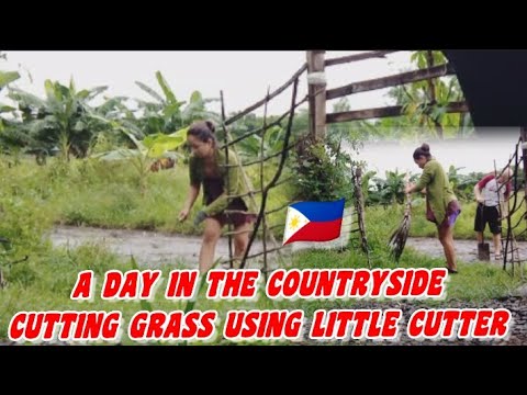 SMALL CUTTER TO CUT LONG GRASS, CLEANED THE MESS THEN FIXED BROKEN FENCE||JuvsVlog Filipina Life 🇵🇭