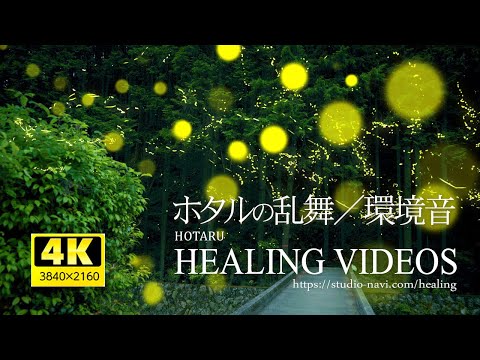 [4K] Firefly Ranbu and Natural Sound ASMR/Healing System 3 hours