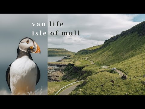 Spotting Puffins & Van Malfunctions | Isle of Mull: Part 2