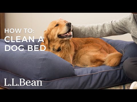 How To Clean a Dog Bed