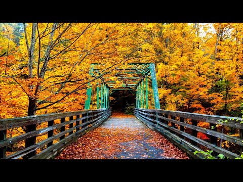 Autumn Scenic Roads, Beautiful Autumn Fall Foliage, Acoustic Guitar Music, by Open Road Folk Music