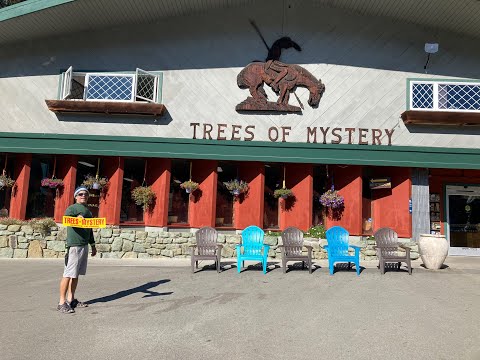 Stop @ “Trees of Mystery” tourist attraction, Klamath Ca- Our Life #redwoodforest #unique #roadtrip