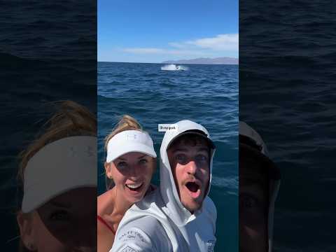 Whale BREACHING while taking a selfie! 🤳