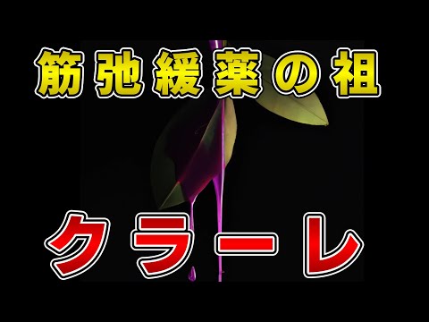 ゆっくり毒物vol.51　クラーレ【ゆっくり解説】