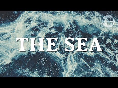 What the Sea can Teach us About Ourselves