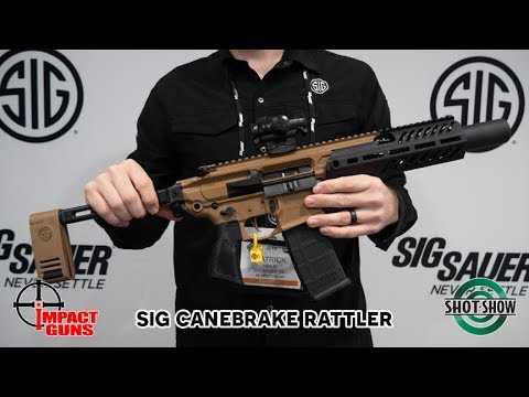 Sig Sauer MCX Rattler Canebrake .300 AAC Blackout - SHOT Show 2019