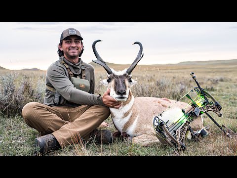 MY BIGGEST ARCHERY ANTELOPE