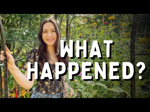 Did I Ruin My Fruit Trees? | Garden Q&A