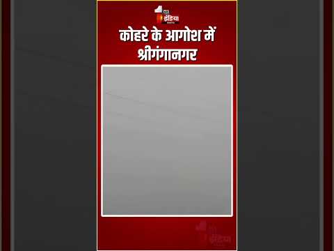 Rajasthan Weather Update: कोहरे के आगोश में श्रीगंगानगर | Winter Update | Fog In Sri Ganganagar