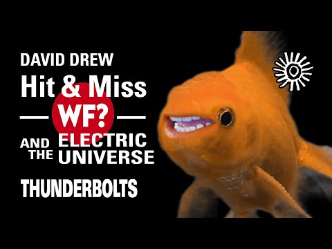 David Drew: The Why Files (WF?) and the Electric Universe | Thunderbolts