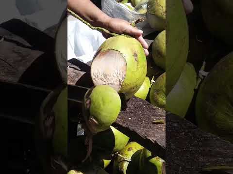 superb coconut  cutting skills pH street food #satisfying #streetfood #youtubeshorts @GatchieJr33