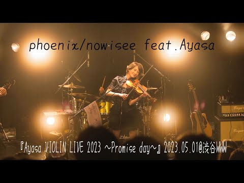 【Ayasa】phoenix/nowisee feat.Ayasa LIVE MV