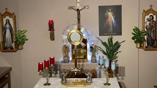 LIVE Eucharistic Adoration - Sisters of Divine Mercy