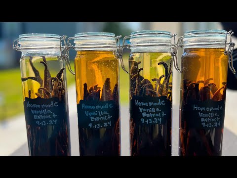 How to make vanilla extract at home!