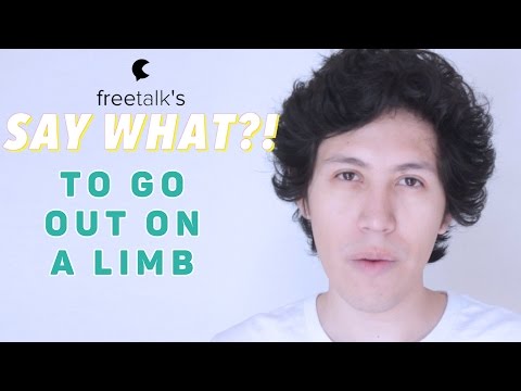 TO GO OUT ON A LIMB — Say What?! | Learn English Expressions