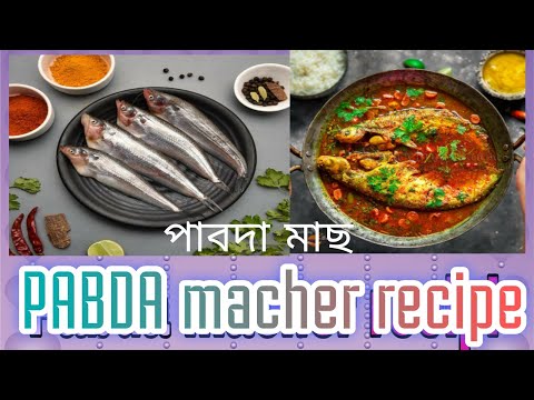 "How to Make Pabda Macher Jhol: A Classic Bengali Fish Curry Recipe" | Summer season special |