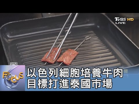 以色列細胞培養牛肉 目標打進泰國市場｜FOCUS午間新聞 20241114@tvbsfocus