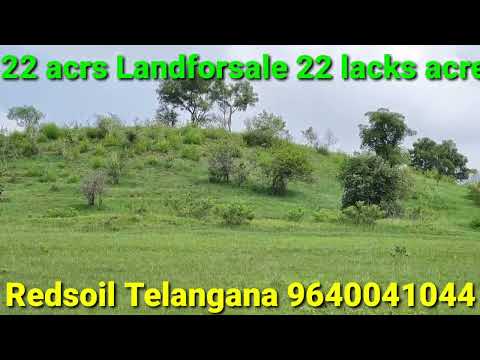 NH65 #22 #acre #landforsale 22 #lacks #acr #telangana #agriculture #low #budget #property 9640041044