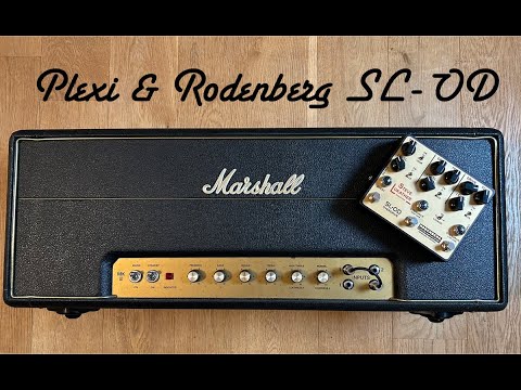 Marshall Plexi & Rodenberg SL-OD