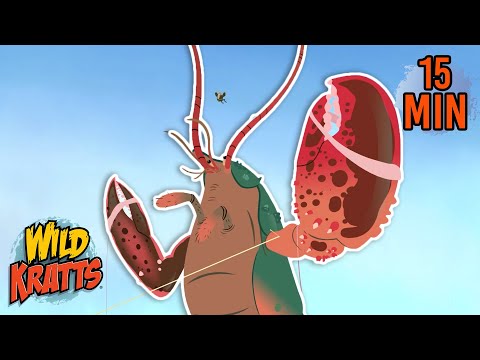 Creature Battles! | Every Creature Showdown Part 20 | New Compilation | Wild Kratts