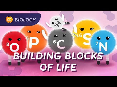 Carbon & Biological Molecules: What is Life Made Of?: Crash Course Biology #20