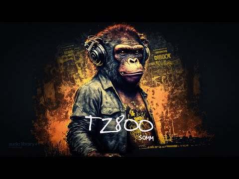 TZ800 — SOMM | Free Background Music | Audio Library Release