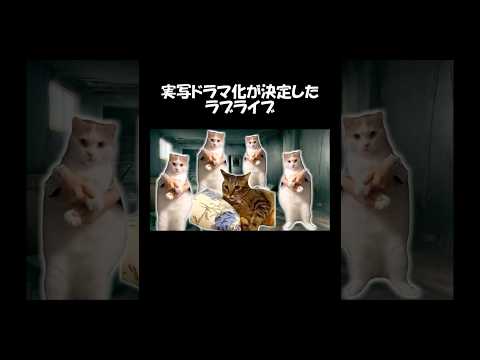 実写ドラマ化が決定したラブライブ【猫ミーム】 #shorts #short #猫マニ #猫ミーム