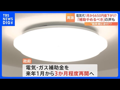 電気・ガス補助金を「来年1月から再開」で政府が調整　電気代が1月から650円値下がりか　しかし政府内から「補助やめるべき」の声が噴出…｜TBS NEWS DIG