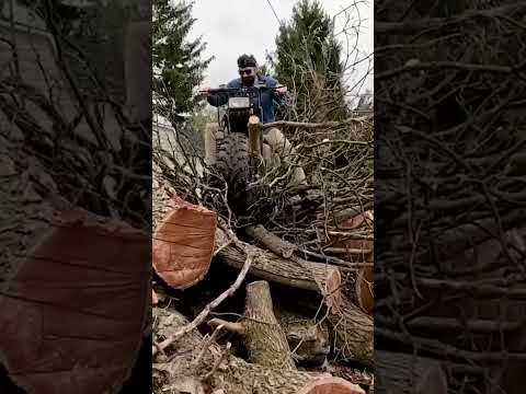 Riding ON TOP of TREES with Rokon motorcycle