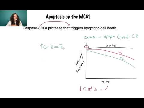 Apoptosis (2A) on the MCAT