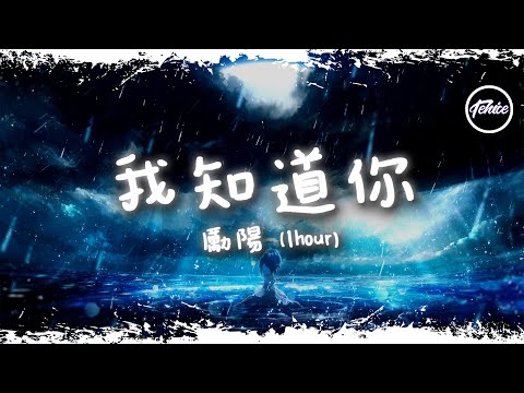 勵陽 - 我知道你 (加速版)【一小時版本】「我知道你 你總是對我好，我知道你 最重要」【動態歌詞】♪